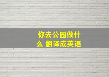 你去公园做什么 翻译成英语